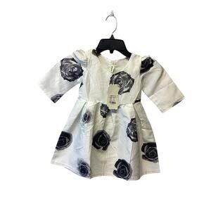 Mitun Silver Black Rose Print Special Occasion Dress 12 M